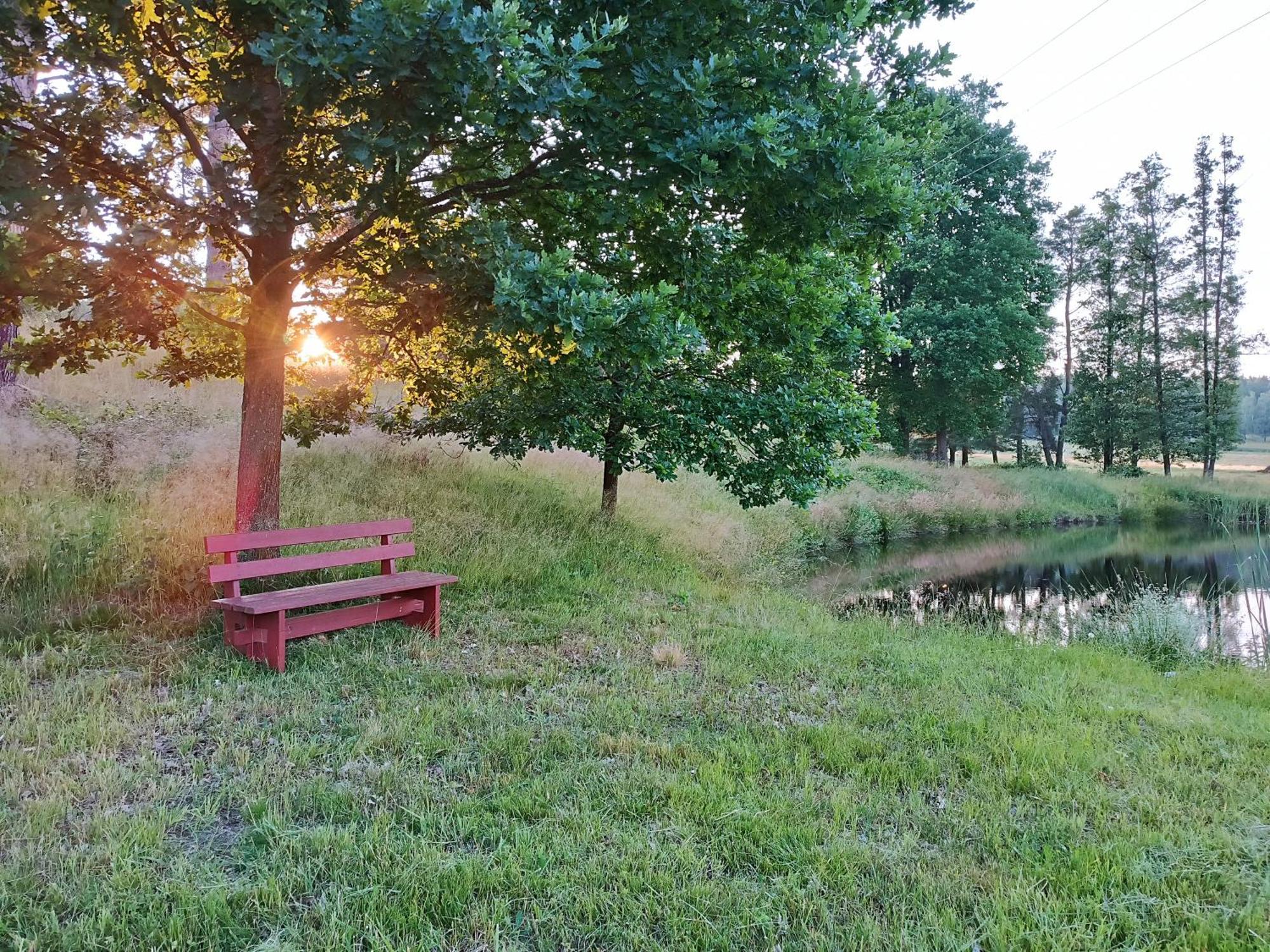 Klidna Lokalita Na Kraji Lesa, Cely Dum S Uschovnu Kol Villa Nova Bystrice Exterior photo